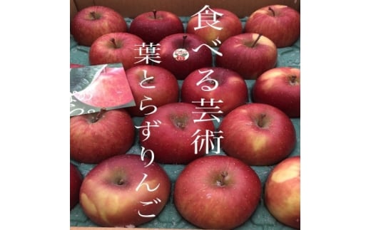 園主一押し!味をとことん突き詰めたりんご　葉とらずサンふじ　贈答用　約5kg　蜜入り期待大!【1342650】