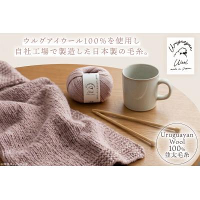 ふるさと納税 江南市 毛糸2玉で編めるケーブル模様のハンドウォーマーキット 13番色 |  | 01
