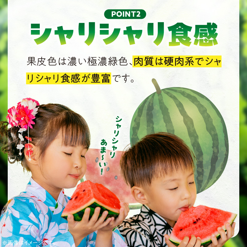 【2026年発送】深く甘いコク感と強いシャリ感「羅皇ザスウィート」1玉 すいか 甘い すいか1玉 果物 フルーツ　H141-015
