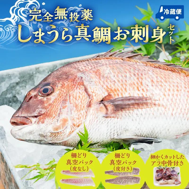【完全無投薬】しまうら真鯛お刺身セット 魚 刺身 魚介
