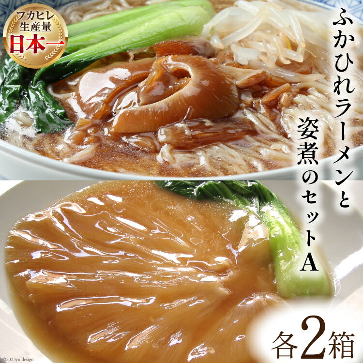 【ふるさと納税】コラーゲン3900mg ふかひれラーメンと姿煮のセットA [中華高橋水産 宮城県 気仙沼市 20563465] 鱶鰭 ふかひれ フカヒレ 姿煮 ラーメン ふかひれラーメン コラーゲン 中華 高級 豪華 詰め合わせ