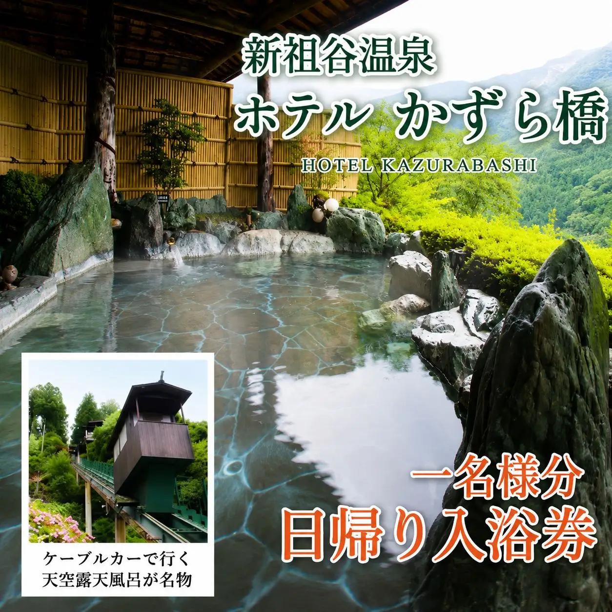 日帰り温泉券 徳島 旅行 ホテルかずら橋 1名様分 徳島県 三好市 【 祖谷 】