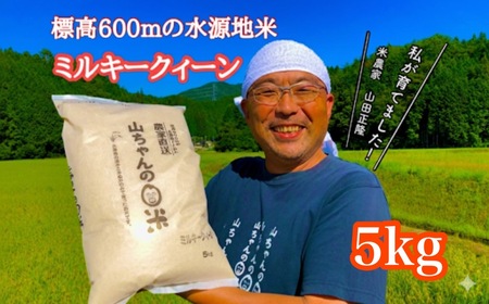 令和8年度産 農家直送「山ちゃんのお米」ミルキークイーン10kg