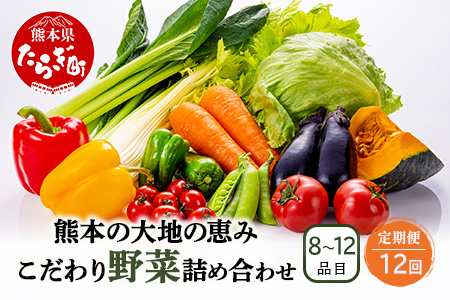 【定期便12回】熊本の大地の恵み 旬の こだわり野菜詰め合わせセット 8?12品 （3?4名様向け）12カ月配送 獲れたて 新鮮 野菜 セット 詰め合わせ 詰合せ 定期便 産地 直送 国産 季節 旬野