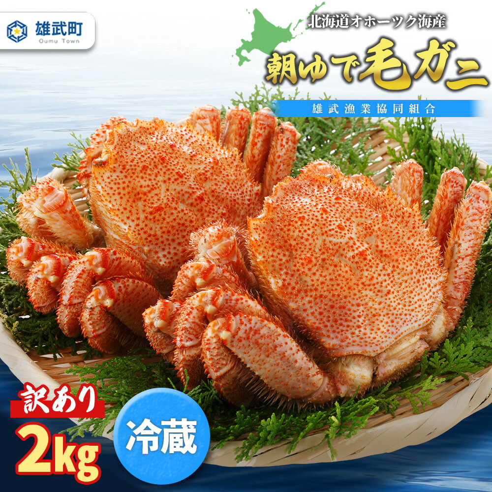 【ふるさと納税】北海道オホーツク海産 訳あり 朝ゆで毛ガニ　2kg（冷蔵） | 毛ガニ 蟹 訳あり 2kg 冷蔵 オホーツク 旬 すぐ食べられる ボイル済み ドリップほぼなし 不揃い 産地直送 海鮮 鮮度 雄武漁業協同組合 お取り寄せ 北海道 雄武町 雄武【0712202】