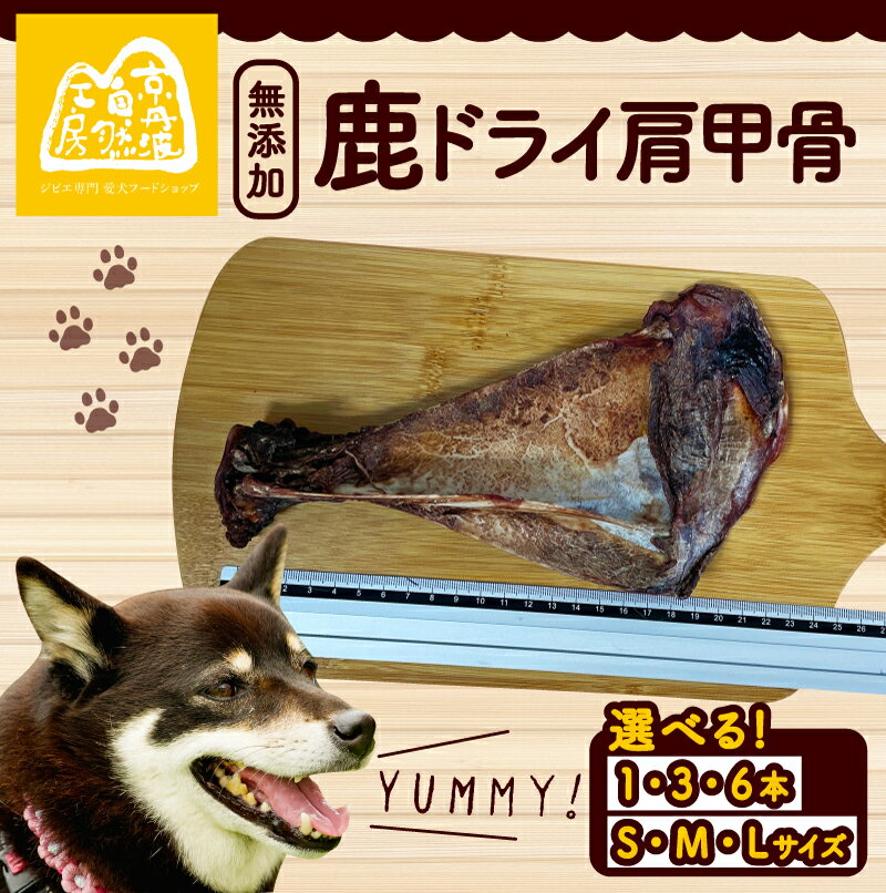 【ふるさと納税】 鹿ドライ肩甲骨 選べる 本数 サイズ S(17～19cm)、M(20～22cm)、L(23cm以上) ペット用品 ペットグッズ ペットフード ドッグフード 無添加 肩甲骨 ボーン 歯 健康 国産 犬のおやつ ジビエ 鹿 鹿肉 ペット用品 犬用 ご褒美 おやつ 京都 京都府 京丹波町