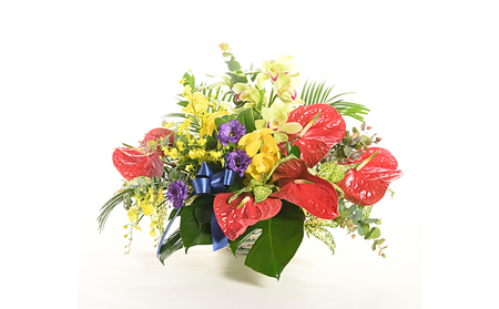花 フラワーアレンジメント 蘭 花