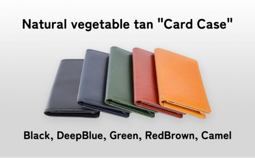 [№5258-8091]1100 Card Case Deep Blue