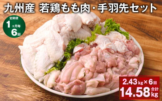 【1ヶ月毎6回定期便】 九州産 若鶏もも肉・手羽先セット 計約14.58kg（約2.43kg×6回） 鶏肉 もも肉 手羽先【お申込み翌月から出荷】