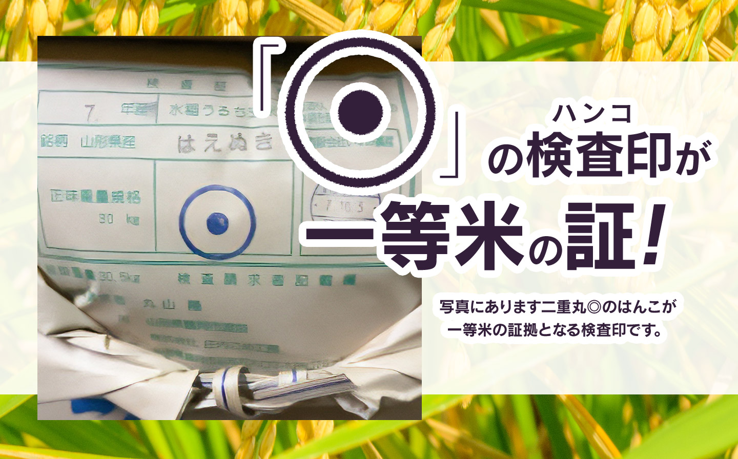 【令和7年産】はえぬき 精米 5kg　山形県鶴岡市　庄内丸山農場　| 5キロ 米どころ 庄内米 ブランド米 米 コメ こめ 精米 ご飯 ごはん 美味しい お取り寄せ 農家直送 お弁当 おにぎり 東北 