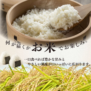 お米 5kg 品種 おまかせ 【 にこまる にじのきらめき きぬむすめ コシヒカリ 】牧之原市 大塚ファーム