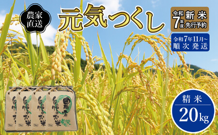 ＼令和7年産 先行予約／ 【2025年11月より順次発送】《令和７年産 》 福岡県産 米 「 元気つくし 」 5kg×4個 計20kg | お米 米 こめ 精米 白米 ライス ブランド米 ごはん ご飯