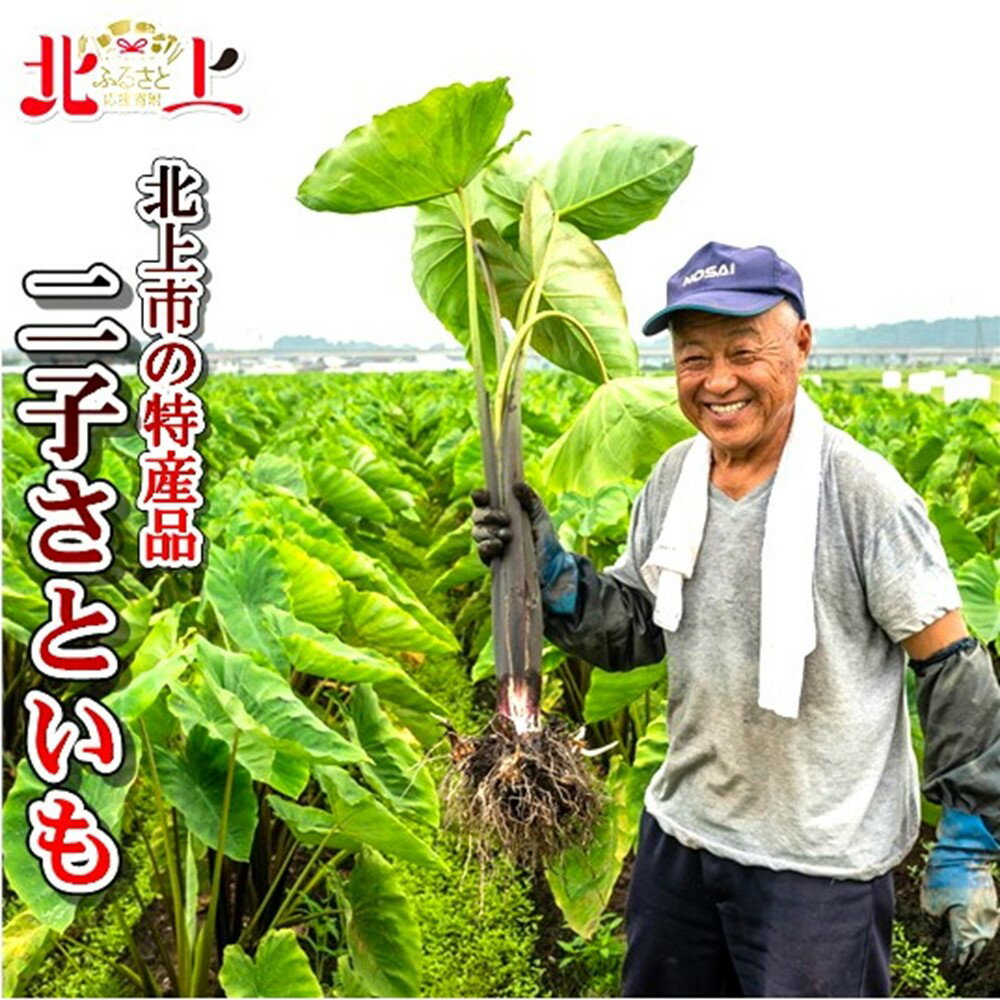 【ふるさと納税】(先行予約受付！！）2025年9月中旬〜発送【特産品！数量限定・期間限定】二子さといも 3kg以上！ 特産品 芋の子 汁 芋 里芋 Mサイズ以上 郷土料理 秋の味覚 人気 リピート 小原