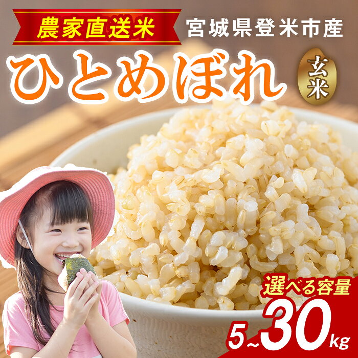 【ふるさと納税】≪令和7年産≫ ひとめぼれ 玄米 5kg～30kg 選べる 容量 宮城県 登米市産 お米 おこめ 米 コメ ご飯 ごはん おにぎり お弁当 5kg 10kg 【株式会社ごとう農産】tm654・tm655・tm656