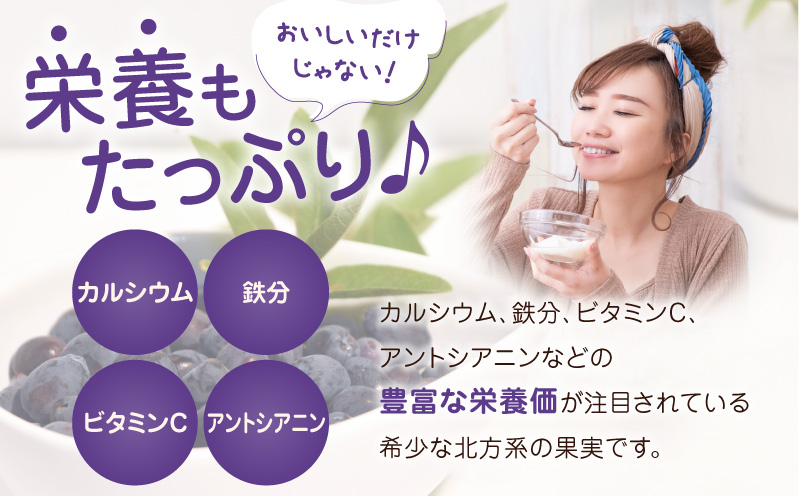 カナダ産 苫小牧市民還元 ハスカップジャム 435g（2瓶）　T044-017-02
