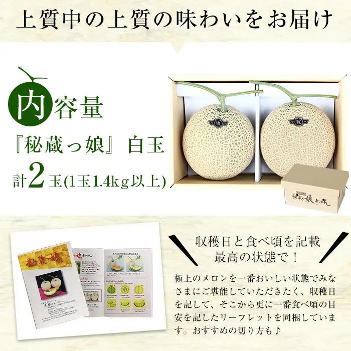 極上メロン「秘蔵っ娘」白玉(青肉)2個 メロン マスクメロン 果物 くだもの デザート 青肉 b5-037