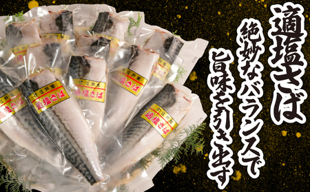 適塩さば 真空 個包装 6枚 さば さば さば さば さば  エドノフーズ