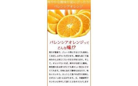  【先行予約】秀品 希少な国産バレンシアオレンジ　2.5kg　※2026年6月下旬頃〜7月上旬頃順次発送（お届け日指定不可）【uot752】