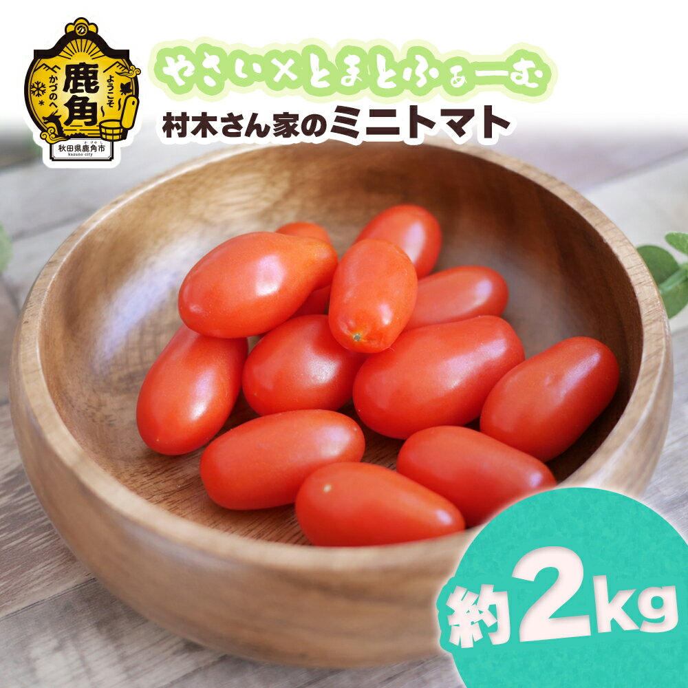 【ふるさと納税】《 先行予約 》 村木さん家の ミニ トマト 2kg【やさい×とまとふぁーむ】 新鮮 旬 県産 トマト 国産トマト お中元 お歳暮 母の日 父の日 グルメ ギフト 故郷 秋田 あきた 鹿角市 鹿角 送料無料