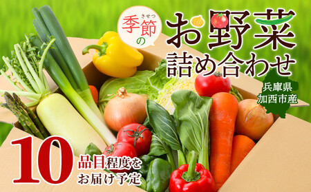 野菜セット 季節の野菜 旬の野菜 詰め合わせ 野菜セット【10品程度】