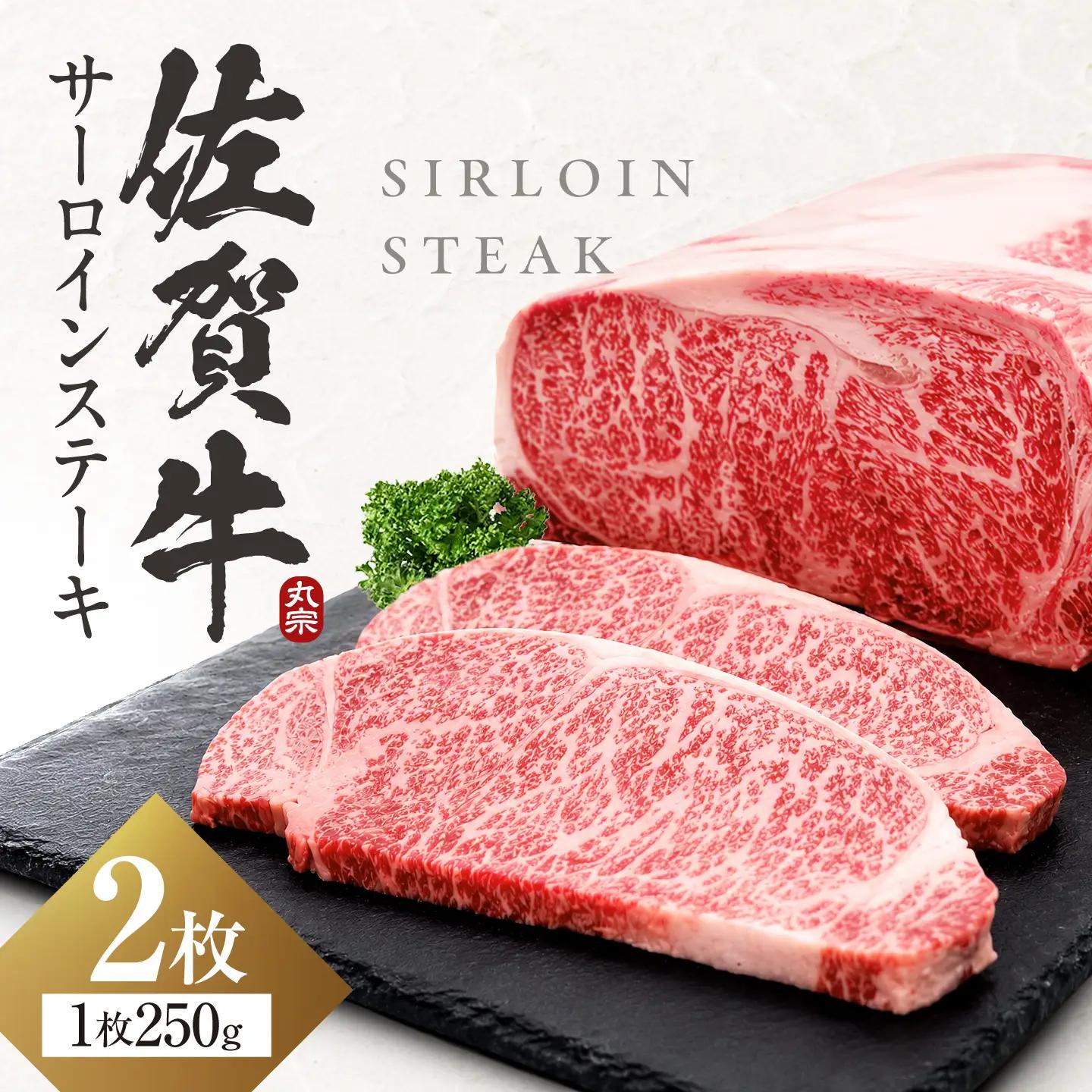 佐賀牛 サーロインステーキ 250g×2枚 ステーキ FDP028 【最短発送】
