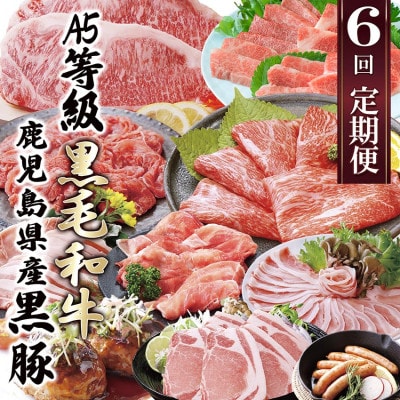 定期便(6回)黒毛和牛・黒豚etc FF-0061【配送不可地域：離島】