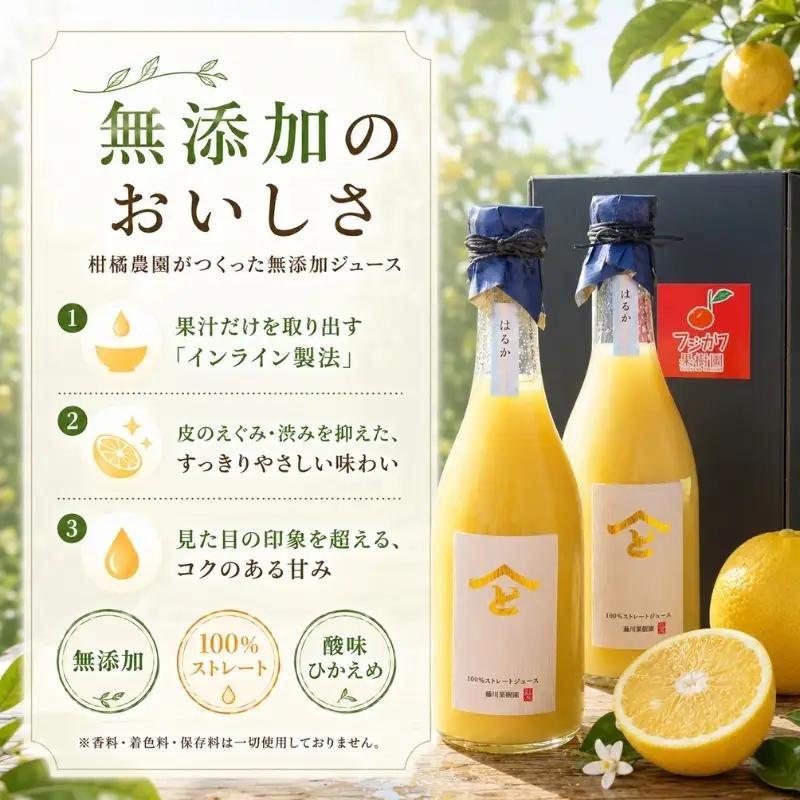 希少限定！無添加 はるか 100％ストレートジュース720ml 2本セット 果汁飲料 みかんジュース 飲料類 
