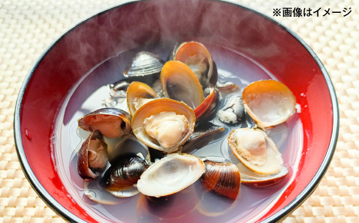 お徳用！宍道湖産冷凍シジミ3kg/株式会社山光食品 [ALHZ003]