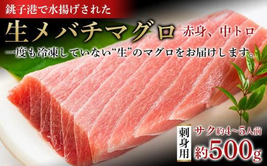 メバチ マグロ 刺身 サク 約 500g 国産 銚子港 水揚げ メバチマグロ 鮪 赤身 中トロ 柵 刺し身 寿司 海鮮丼 新鮮 海鮮 魚 魚介 魚介類 魚貝 魚貝類 水産 朝食 昼食 夕食 酒 の 肴 おかず おつまみ ごはん 和食 冷蔵 料理 食卓 人気 ギフト 贈り物 贈答 贈物 グルメ プレゼント 贈答用 記念日 お取り寄せ ふるさと納税 ふるさと納税魚 送料無料 千葉県 銚子市