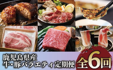 全6回定期便 鹿児島県産牛・豚バラエティ定期便 Z120-2043 定期便 定期便 定期便 定期便 定期便