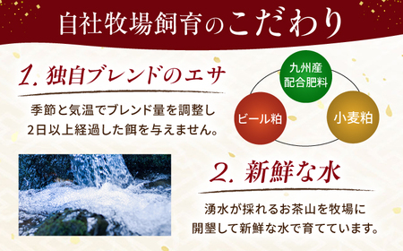 『純国産』熊本の味 馬刺し 満喫 4種 セット 計約2.52kg（約420g×6セット）赤身 上霜降り 桜 タタキ タレ付【有限会社 九州食肉産業】[AYCN027]