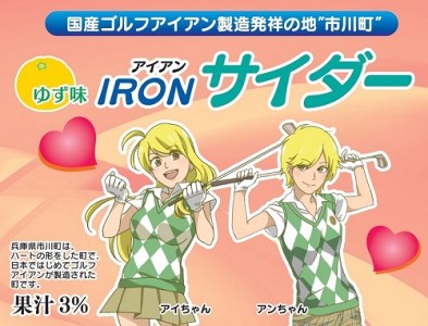 015KK01N.アイアンサイダー（24本）