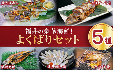 越前 若狭 福井のおいしいよくばりセット【家飲み ごはんの友 おかず おつまみ 冷蔵】[007-b001_A]