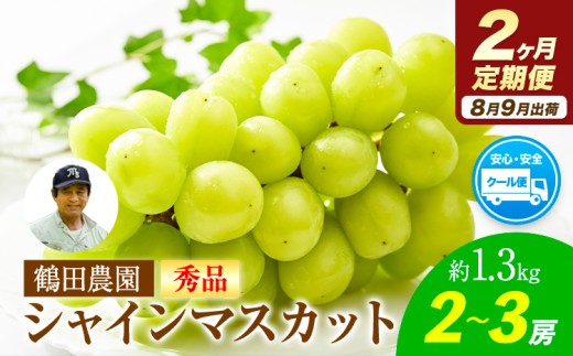 【2ヶ月定期便】【秀品】先行予約 シャインマスカット 約1.3kg (2-3房)/月×2回 フルーツ 果物 送料無料 葡萄 ぶどう マスカット 鶴田農園 熊本県荒尾市産《8月下旬-9月下旬頃出荷》 美味しいシャインマスカット 旬のシャインマスカット ジューシーシャインマスカット フルーツシャインマスカット