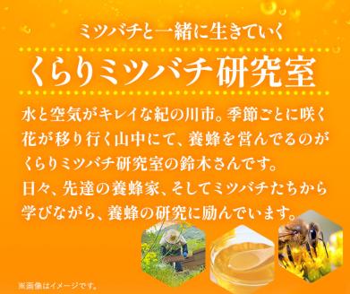 6月のはちみつ540gKURARIくらりミツバチ研究室《90日以内に出荷予定(土日祝除く)》蜂蜜ハチミツ非加熱純正生ヨーグルト---wsk_krrjhoney_90d_22_10000_1d---