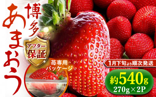 【2025年2月1日から順次発送】農家直送 朝採り新鮮いちご【博多あまおう】約270g×2《築上町》【株式会社H&Futures】 [ABDG003] 8000円 8千円