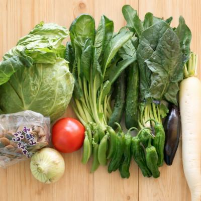 ふるさと納税 日高町 旬の新鮮野菜セット8種以上【野菜詰め合わせ】 |  | 01