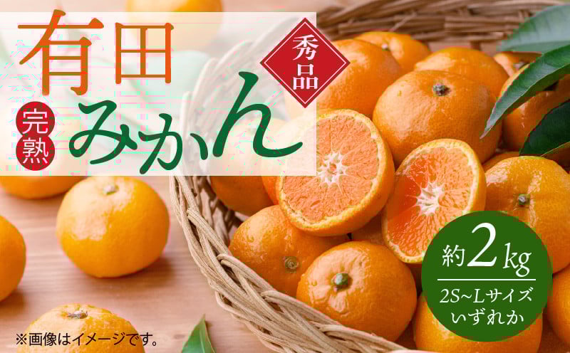 
                  G7343_ 【2026年11月下旬より発送】秀品 有田みかん 2kg 2S～L サイズ いずれか 秩父古生層土質 ミネラル 豊富 天然土壌 石垣 段々畑 太陽光 酸味 甘味 バランス コク深い 味わい 果物 果実 フルーツ 柑橘 みかん おやつ 食品 食べ物 グルメ お取り寄せ 和歌山県 湯浅町
                
