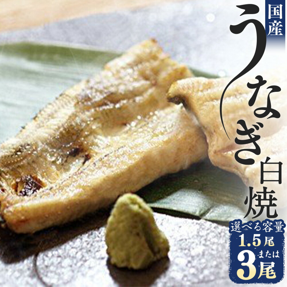 【ふるさと納税】【レビューキャンペーン対象商品】 選べる容量 うなぎ 白焼 1.5尾 または 3尾 | かも川茶寮 うを完 老舗 国産 鰻 冷凍 お惣菜 惣菜 ギフト お土産 贈答 うなぎ白焼き 岐阜 岐阜県 美濃加茂 美濃加茂市 送料無料