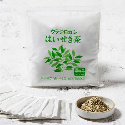 ふるさと納税 高松市 ウラジロガシ はいせき茶