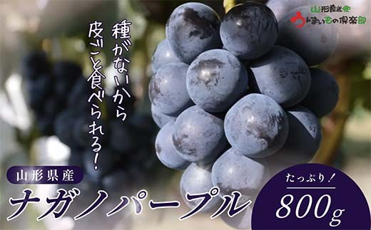 
                  【2026年9～10月発送】 ナガノパープル 800g FSY-2780
                