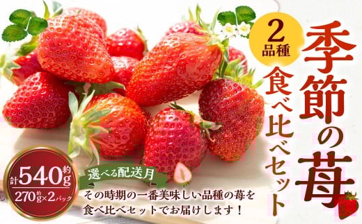 よかもんいちご ２品種食べ比べセット  2026年3月発送 いちご イチゴ 苺 2種 フルーツ 果物 贈答 贈り物 ギフト 令和7年 九州 福岡 うきは市