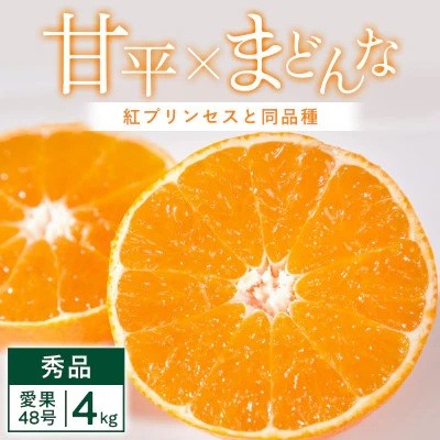 
                  【先行受付】「紅プリンセス」と同品種 4kg みかん 愛媛県 八幡浜市 愛媛果試48号＜G25-342＞【1715576】 YWTAP283
                