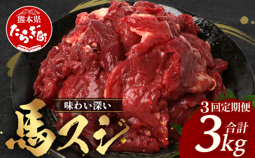 【 定期便 3回 】 熊本県 馬スジ 1㎏（ 500g×2 ） × 3回 【 合計 3kg 】 【 馬肉 すじ肉 大容量 本場 熊本県 馬 赤身 煮込み カレー シチュー 冷凍 真空 熊本 肥育 ヘルシー 赤身 肉 高栄養 肉 】 041-0158