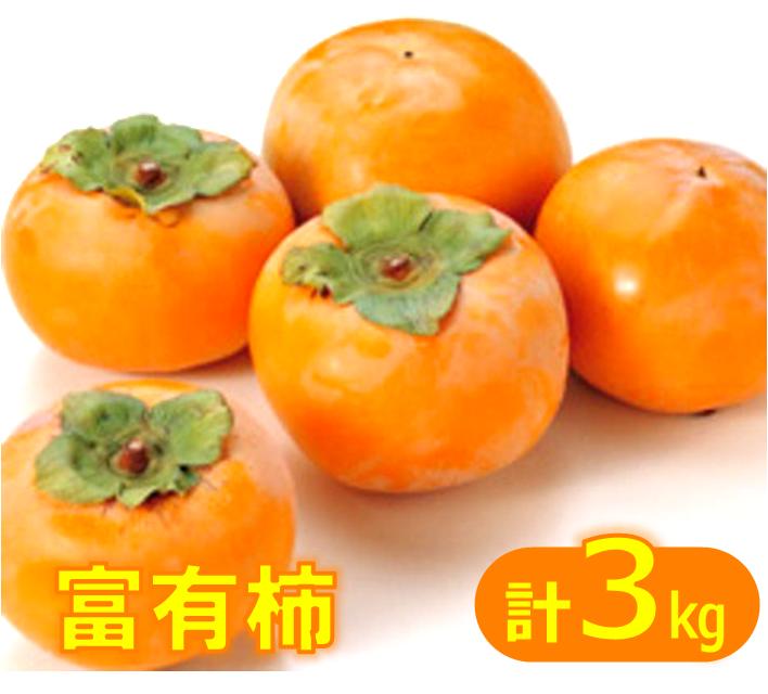 富有柿（ふゆうがき）3kg 【11月上旬頃から順次発送】