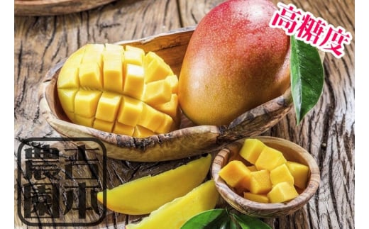 ◆先行予約◆和歌山県産　紀州完熟マンゴー『吉玉』1玉入り【2025年7月中旬から8月下旬頃順次発送予定】【MG21】【mtgn074】