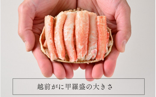 年中旨い蟹を堪能！老舗カニ料理専門店の「越前ズワイガニ甲羅盛」1個（200g前後） / かに 甲羅盛り 茹でがに ボイル 冷凍 送料無料 [C-085001]