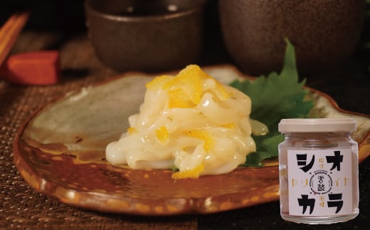 
            『舌鼓』玄界灘産ヤリイカのゆず塩辛【冷凍】瓶詰め　100g×3本　計300g[G4466]
          