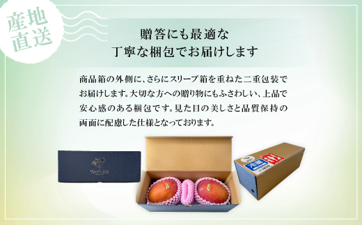 【2027年6月下旬から順次発送】かみざと農園の贈答用アップルマンゴー1kg【配送不可地域：離島】