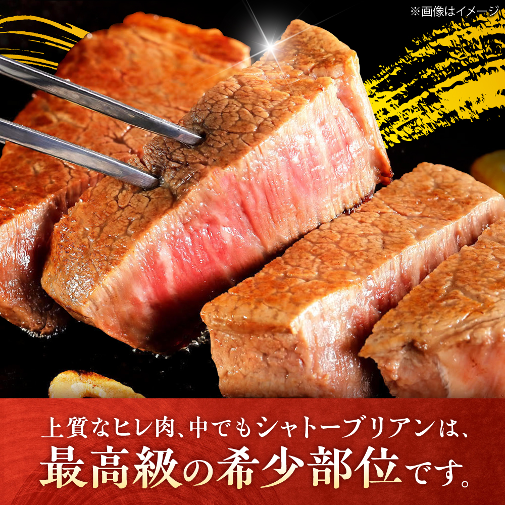 【全5回定期便/2ヵ月に1回 隔月にお届け】佐賀牛よくばりセット シャトーブリアン ヒレステーキ 各1,000g 総計5kg 吉野ヶ里町/やま田商店 [FCH010]